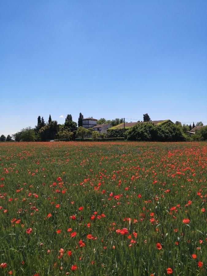 Agriturismo Corte Spino Nogarole Rocca Exterior photo