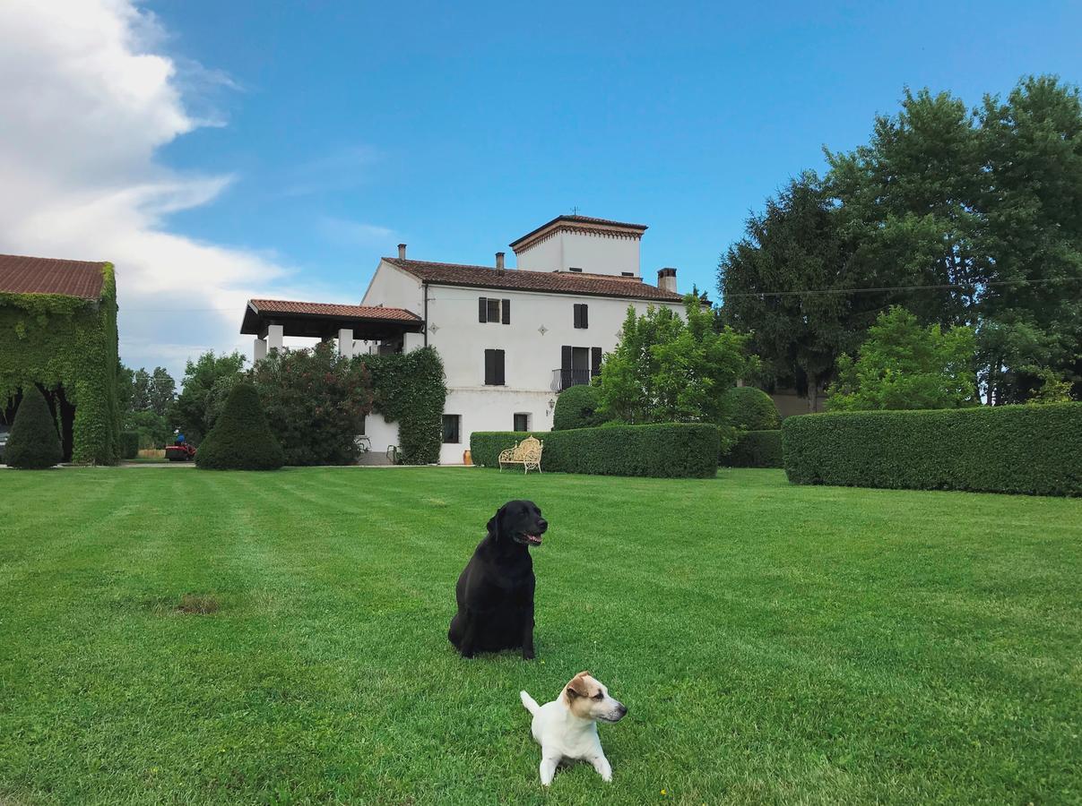 Agriturismo Corte Spino Nogarole Rocca Exterior photo